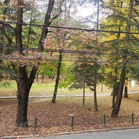 Centar_Park Διαμέρισμα Arandjelovac Εξωτερικό φωτογραφία